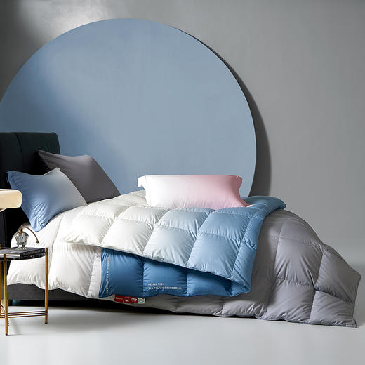 梦洁波兰进口白鹅绒四季被/厚被 净彩 商品图0