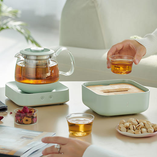 入一 TBox茶合Mini版智能自动恒温玻璃烧水壶煮茶壶养生壶泡茶壶 商品图4