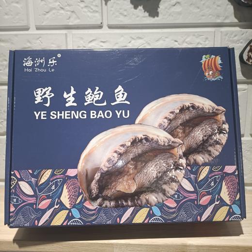 野生鲍鱼（5头）500g 商品图0
