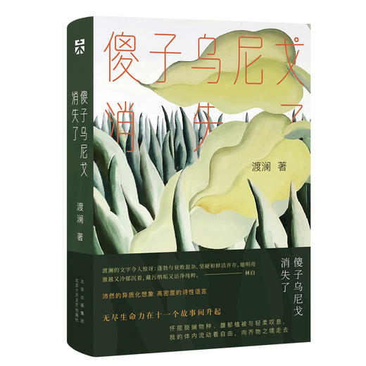 【新经典】傻子乌尼戈消失了 商品图0