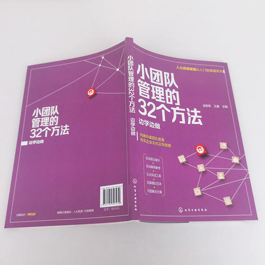 小团队管理的32个方法 边学边做 人力资源管理从入门到精通 提升团队凝聚力书籍 小团队管理方法提升书籍 零基础人力资源入门书籍 化学工业出版社 9787122397430 商品图4