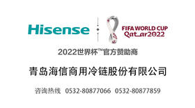 青岛海信商用冷链股份有限公司