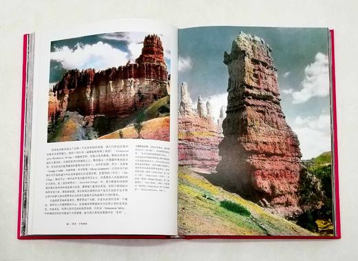 《审丑万物美学》，精装，16开，[英]史蒂芬.贝利著，金城出版社2014年版，定价138，售价55元，非偏远地区包邮。品相9成。 商品图6