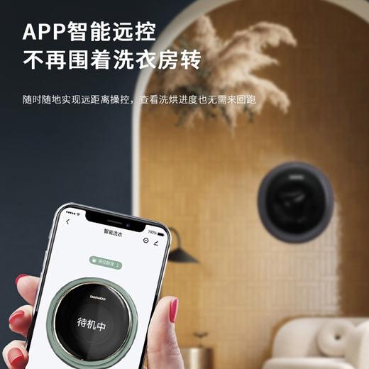 大宇（DAEWOO）壁挂洗衣机 全自动变频3KG迷你滚筒DY-BGX07 商品图1