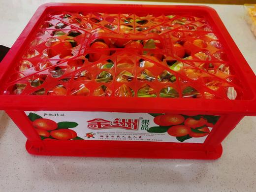 精品砂糖橘筐装 商品图0