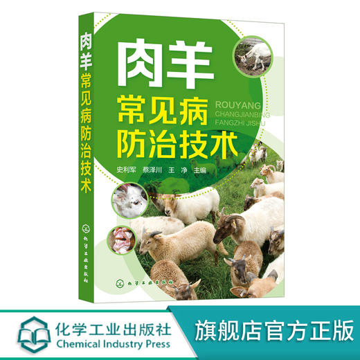 肉羊常见病防治技术 羊病防治好帮手 羊病常见病预防诊断书籍 肉羊疾病综合防控技术 传染病防控技术 寄生虫病防治技术应用书籍 化学工业出版社 9787122402011 商品图0