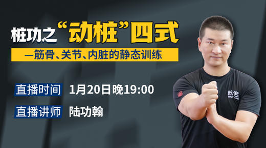 【1月20日】桩功之“动桩” —筋骨、关节、内脏的静态训练 商品图0