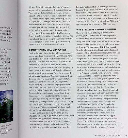 预售 【中商原版】葡萄酒科学 酿酒中的科学应用 英文原版 Wine Science The Application of Science in Winemaking Jamie Goode 商品图5