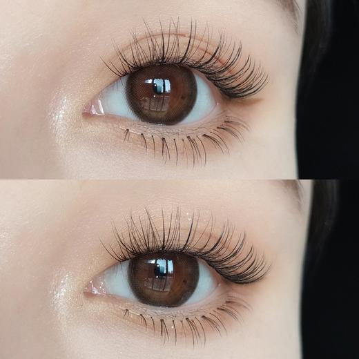 【大直径日抛】厚乳拿铁·Winni丨14.5mm（日抛/一盒10片装） 商品图7