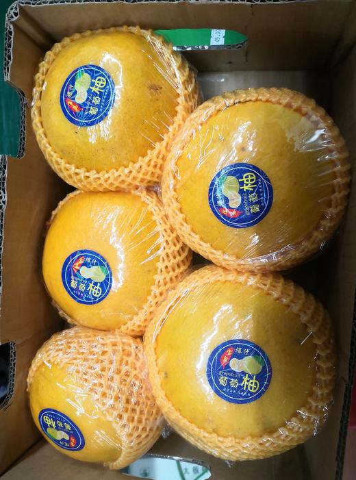 葡萄柚礼盒【TC】 商品图1