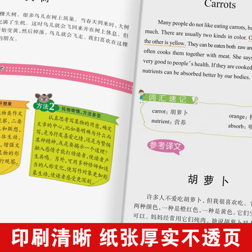 思维导图作文 小学生英语作文 商品图3