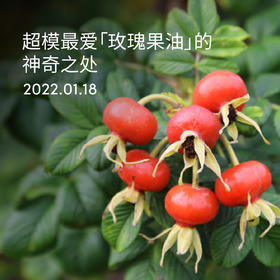 相信没有女生不爱它！