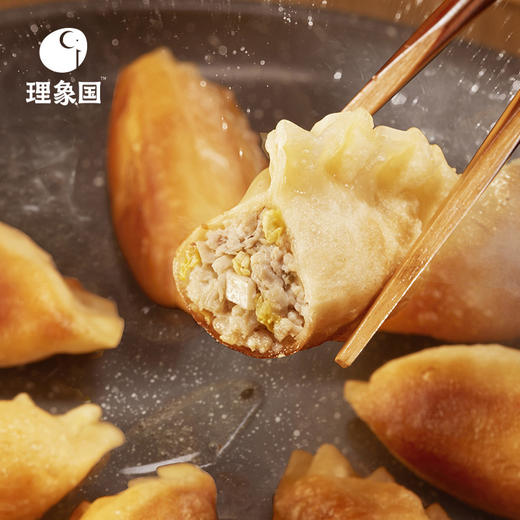 已下架】理象国 鸡汤虾仁云吞+大肚煎饺+鲜肉包组合 3盒装 营养早餐儿童喜爱方便速食[福利品] 商品图0