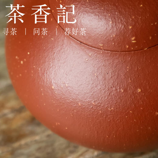茶香记 紫砂壶 朱泥调砂文旦壶 茶壶 冲泡器 功夫茶具 商品图2