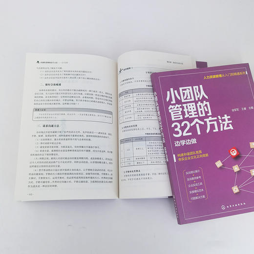 小团队管理的32个方法 边学边做 人力资源管理从入门到精通 提升团队凝聚力书籍 小团队管理方法提升书籍 零基础人力资源入门书籍 化学工业出版社 9787122397430 商品图3