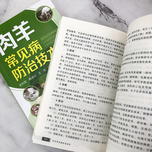 肉羊常见病防治技术 羊病防治好帮手 羊病常见病预防诊断书籍 肉羊疾病综合防控技术 传染病防控技术 寄生虫病防治技术应用书籍 化学工业出版社 9787122402011 商品图3