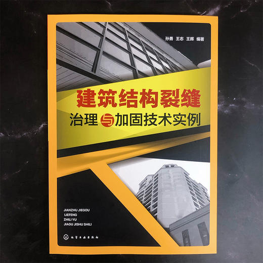 建筑结构裂缝治理与加固技术实例 商品图1