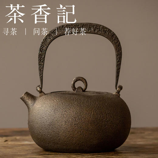 茶香记  晋韵堂铁壶  恬静  传统工艺  失蜡法制壶   仿古造型 商品图0