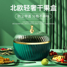 新年北欧轻奢收纳干果盒果盘客厅坚果瓜子零食盘糖果盒