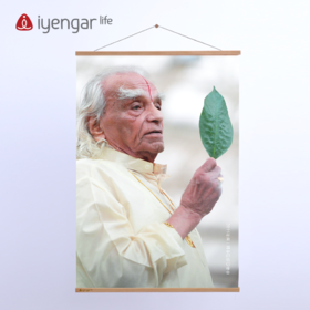 艾扬格 Life 大师款挂轴实木挂画D