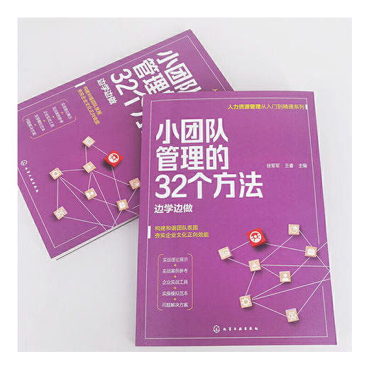 小团队管理的32个方法 边学边做 人力资源管理从入门到精通 提升团队凝聚力书籍 小团队管理方法提升书籍 零基础人力资源入门书籍 化学工业出版社 9787122397430 商品图1