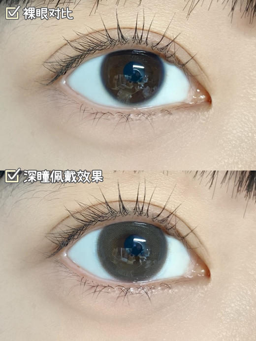 店主推荐丨咸奶油·Legal Loli丨14.2mm（半年抛/2片装） 商品图1