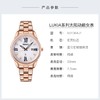 SUT364J1	精工SEIKO	日本进口精工优雅小表盘太阳能石英女士手表 送礼【划痕明显】（可能无电） 商品缩略图3