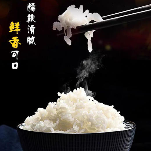 s新疆察农生态长粒香米5kg 一级大米 商品图2