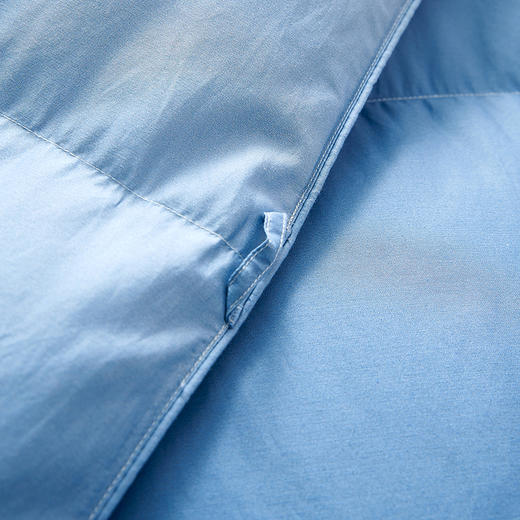 梦洁波兰进口白鹅绒四季被/厚被 净彩 商品图8