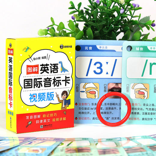 昂秀外语 图解英语国际音标卡（视频版） 英语音标 音标学习 商品图1