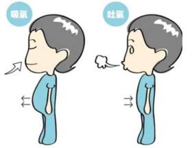 呼吸入腰，百病全消！一吸便提，气气归脐；一提便咽，水火相见 