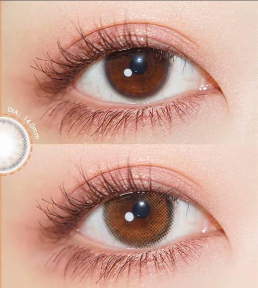 bollycon琥珀棕年抛型140