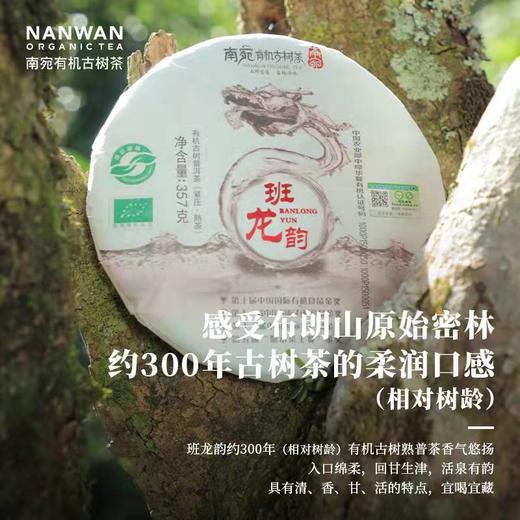 南宛有机古树普洱茶熟普云南熟普洱饼茶熟普茶饼班龙韵200g、357g支持自提 商品图6