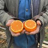 广西武鸣沃柑、现摘水果、鲜嫩易剥、它是橘柑中的小甜甜！ 商品缩略图3