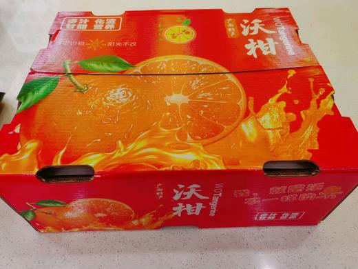 沃柑礼盒小箱38元/件 商品图0