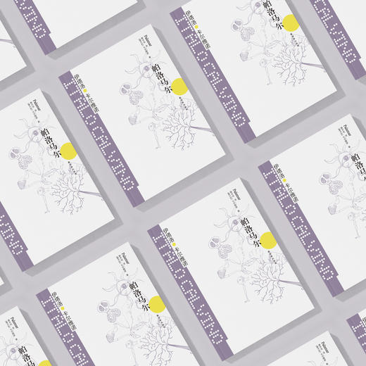 《卡尔维诺经典：帕洛马尔》 商品图2