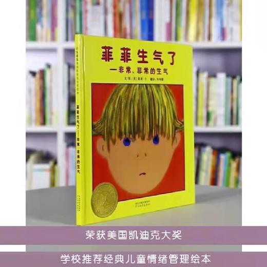 菲菲生气了+菲菲受伤了+菲力的17种情绪+和菲力一起长大（儿童情绪管理绘本：全四册） 商品图2