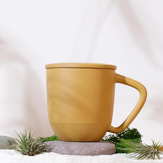 七修茶礼·新会陈皮套装 紫砂杯礼盒套装 陈皮100g 商品图2