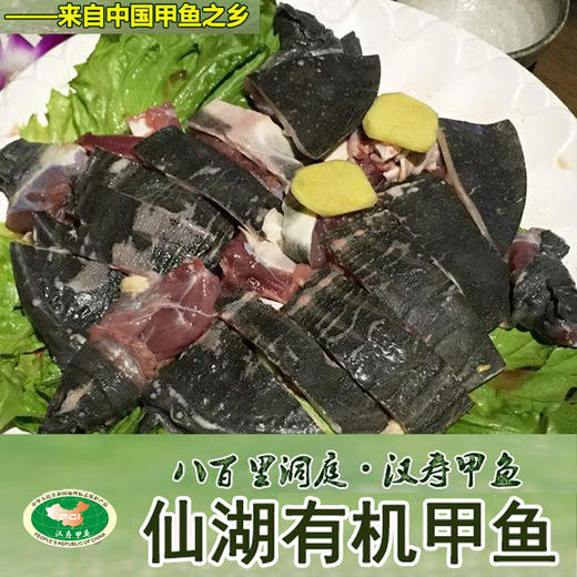 仙湖有机甲鱼（处理完，切块发货） 商品图3