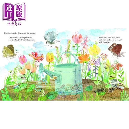 【中商原版】咕噜牛作者Julia Donaldson 羊毛熊毛毛虫 The Woolly Bear Caterpillar 儿童绘本 自然科普图画书 英文原版进口 商品图3