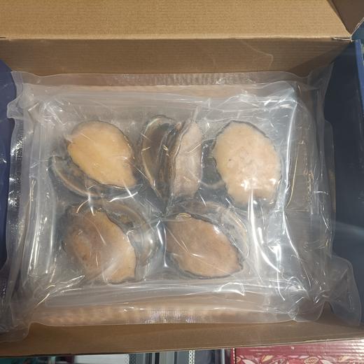野生鲍鱼（5头）500g 商品图1