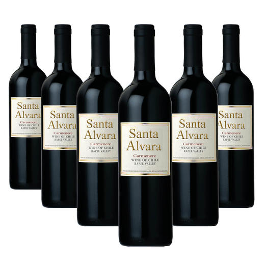 【整箱购买】桑塔奥拉卡门乐红葡萄酒 Santa Alvara Carménère 6*750ml 商品图0