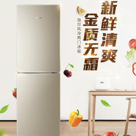海尔（Haier）冰箱BCD-190WDPT