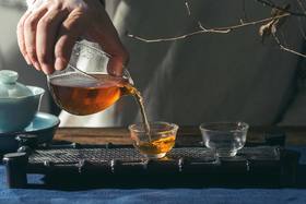 弘通禅茶丨白茶为什么被称为“万病之药”