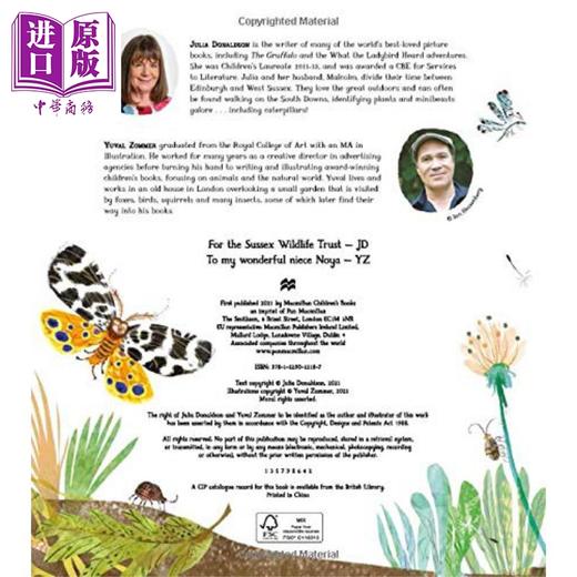 【中商原版】咕噜牛作者Julia Donaldson 羊毛熊毛毛虫 The Woolly Bear Caterpillar 儿童绘本 自然科普图画书 英文原版进口 商品图2
