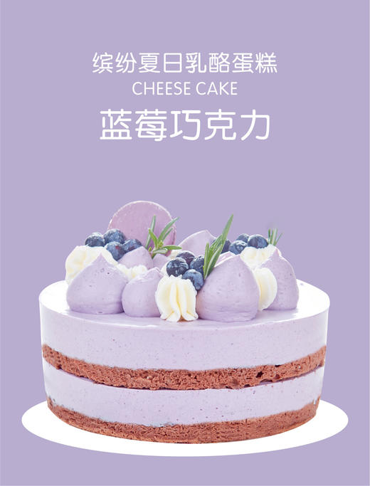 蓝莓巧克力（缤纷夏日乳酪蛋糕） 商品图1