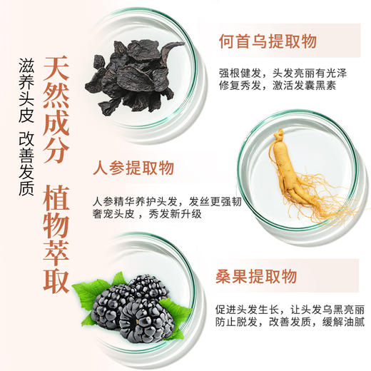 黑美兰首乌洗发露 商品图3