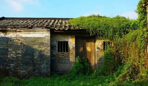 阳江东水山茶场，大洲古村落，鸡乸朗村，歇马举人村3天摄影（臻享） 商品图1