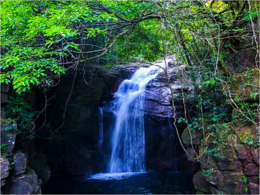 阳江东水山茶场，大洲古村落，鸡乸朗村，歇马举人村3天摄影（臻享） 商品图2