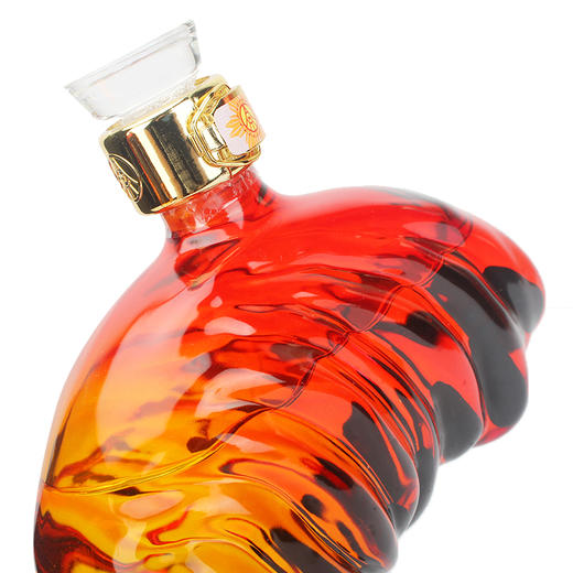 52度五粮液祝君鸡年吉祥500ml 单瓶 商品图3